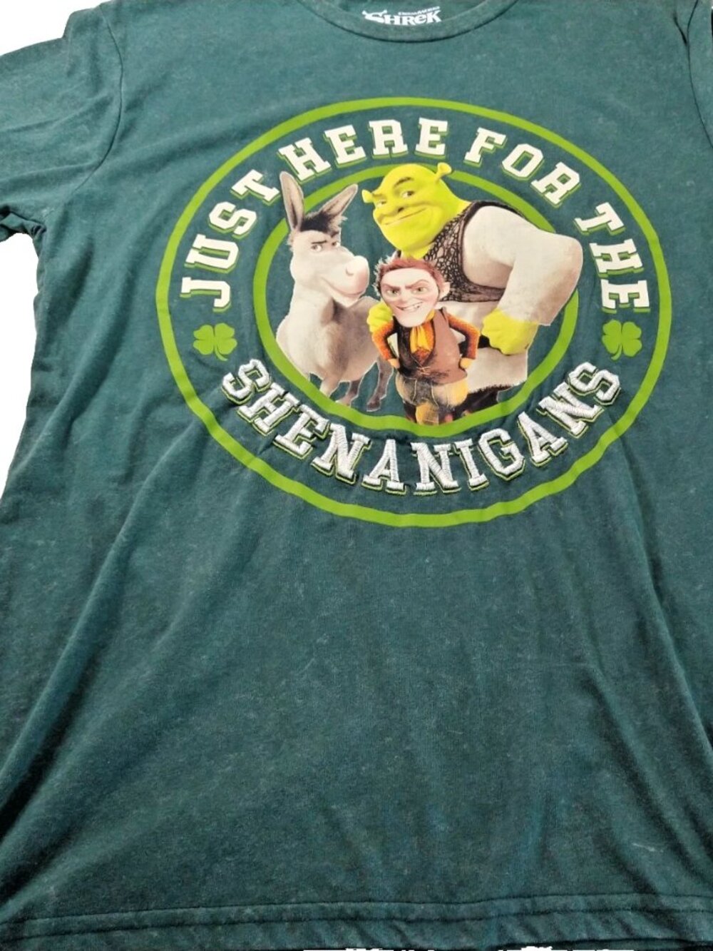 T-shirt Men Dreamworks Shrek Green L/G New | Stonewashed Teal T-Shirt Flat Lay